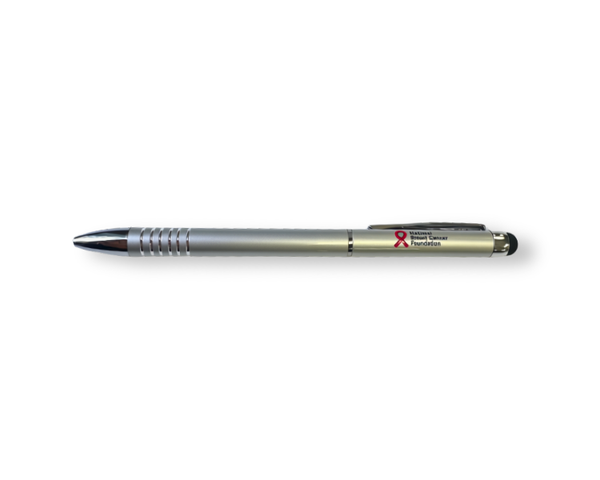 Image of a silver pen